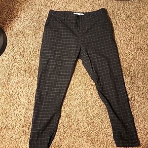 Dress pants